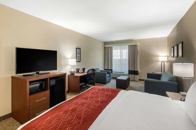 جناح بسرير كينج لذوي الإعاقة، Comfort Inn and Suites Cedar Hill Duncanville 2/3