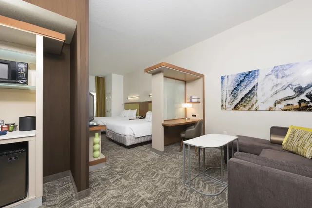 استوديو بسريرين كوين مع أريكة لذوي الإعاقة، SpringHill Suites Detroit Auburn Hills 4/5