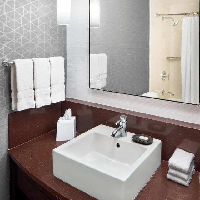 غرفة كلاسيكية بسرير كوين، Le Meridien Arlington 10/10