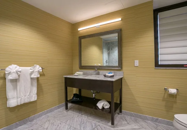 غرفة قياسية بسرير كوين لذوي الإعاقة، Robert Treat Hotel 9/9