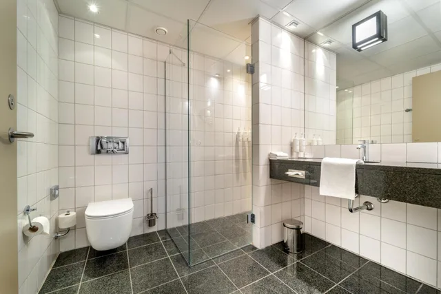 Small Double, Radisson Blu Papirfabrikken Hotel Silkeborg 4/6