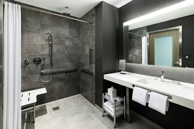 غرفة بسرير كينج لذوي الإعاقة، AC Hotel by Marriott Bethesda Downtown 4/4