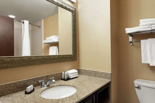 جناح بسرير كينج مع أريكة، Embassy Suites by Hilton Huntsville 10/10
