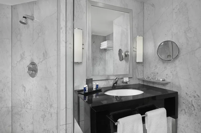 جناح، The Park Tower Knightsbridge, a Luxury Collection Hotel, London 3/3