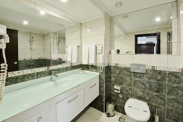 غرفة قياسية بسرير مزدوج، Anadolu Hotels Esenboga Thermal 7/8