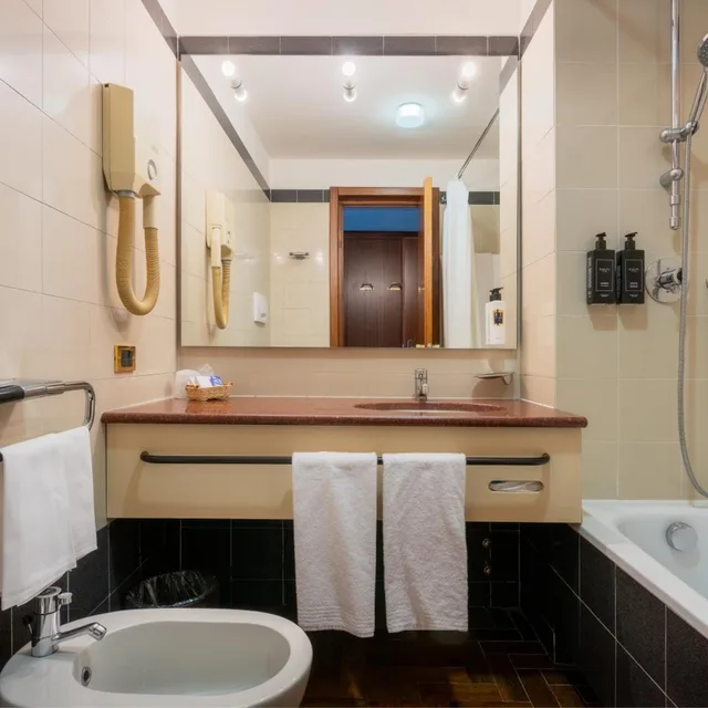 Room, Single, Hotel Crivis 6/16