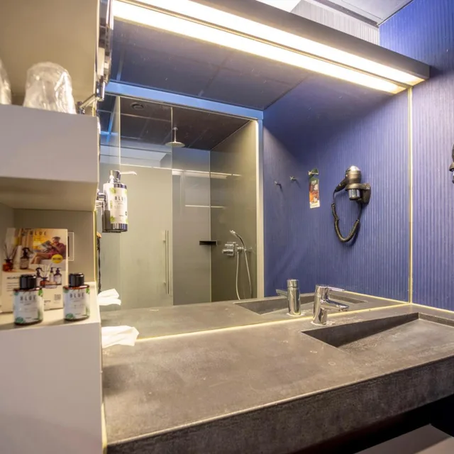 غرفة ديلوكس بسرير مزدوج، Fletcher Wellness Hotel Sittard 7/9