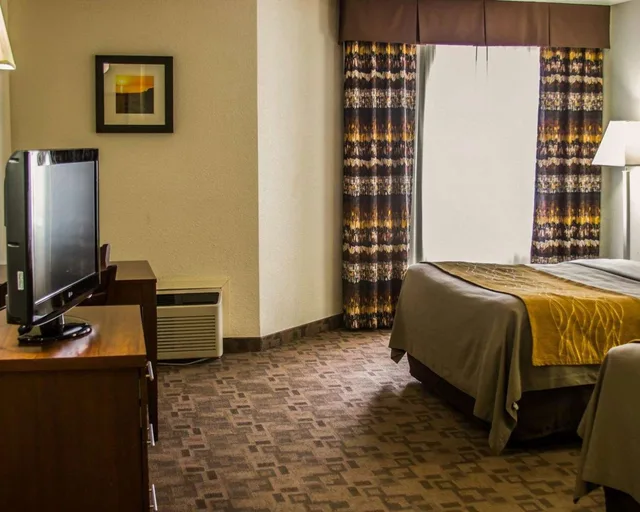 غرفة بسريرين كوين، Comfort Inn Birch Run - Frankenmuth 5/5