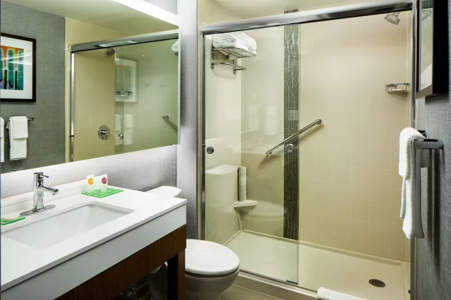 غرفة بسرير كينج مع أريكة، Hyatt Place Sumter/Downtown 6/6