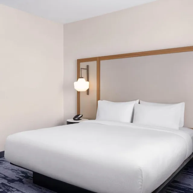 Room, King Bed, Fairfield by Marriott Inn & Suites Waycross 1/6