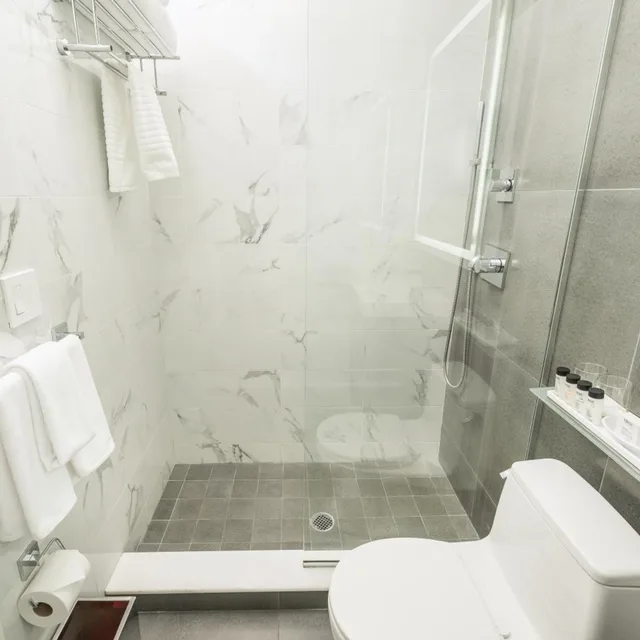 غرفة ديلوكس، Moderne Hotel Nyc 7/10