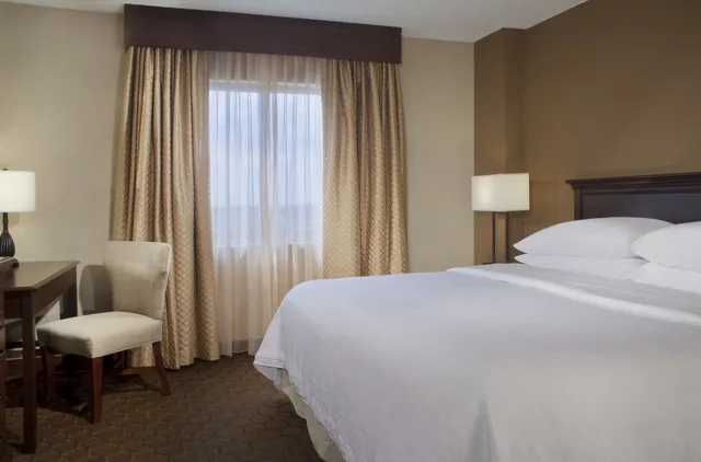 غرفة بسرير كينج مع أريكة لذوي الإعاقة، Embassy Suites By Hilton Austin Arboretum 1/3