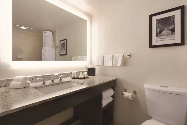 Suite, Balcony, Embassy Suites by Hilton Jacksonville Baymeadows 4/4