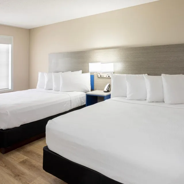 جناح بسرير كوين، GrandStay Hotel and Conference 1/3