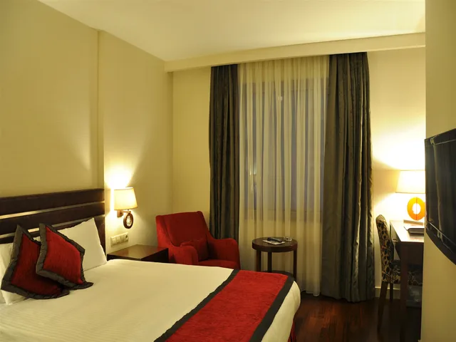 غرفة قياسية مفردة بسرير مزدوج، Niza Park Hotel 2/8