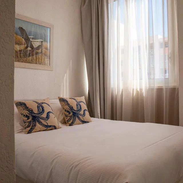 2 Rooms, Apartment, Harbour View, The Originals Sete Port Marine 1/2