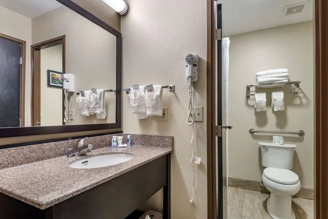 غرفة قياسية بسرير كينج، Comfort Inn Asheville East-Blue Ridge Pkwy Access 10/10