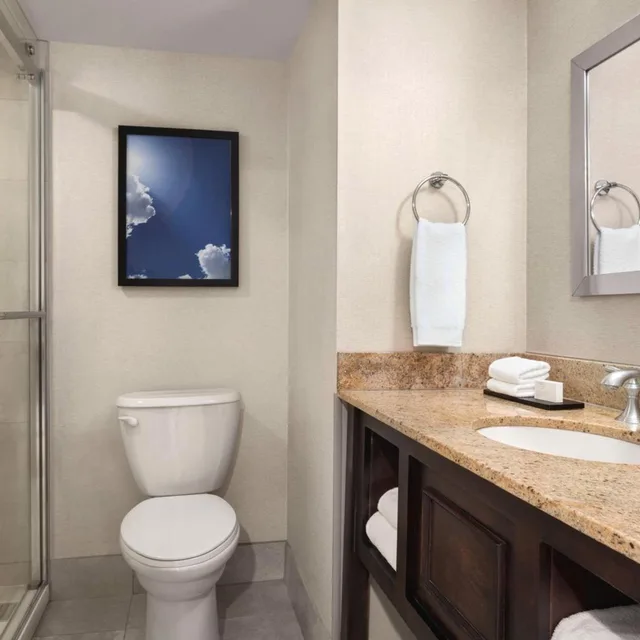 جناح عائلي بسرير كينج، Embassy Suites by Hilton Kansas City Overland Park 3/3