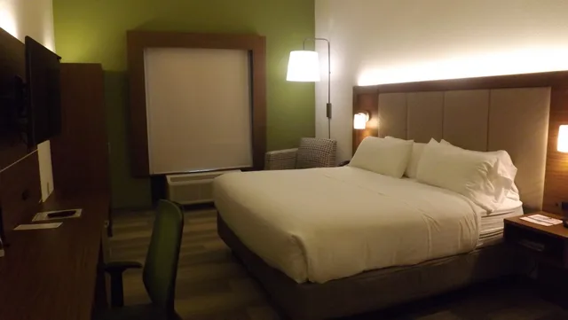 Leisure, King Bed، Holiday Inn Express Hotel Suites Dyersburg 2/4