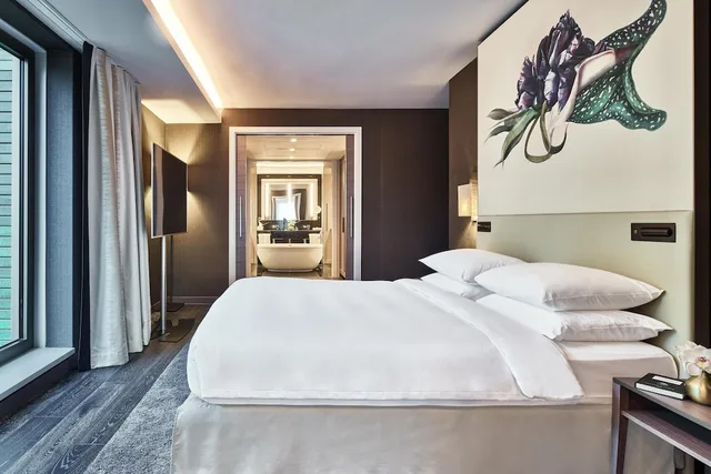 جناح، Hyatt Regency Amsterdam 2/5