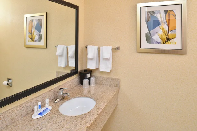 استوديو بسرير كينج مع أريكة، Fairfield Inn & Suites by Marriott Birmingham Bessemer 4/5