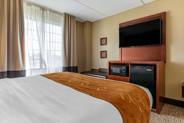 Upgrade, Suite, King Bed، Comfort Suites Grand Rapids South 1/3