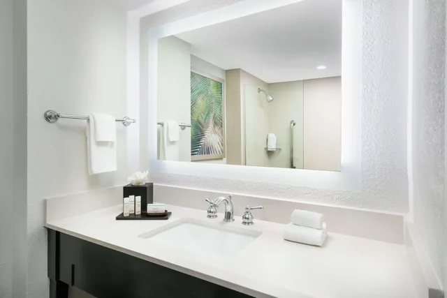 2 Rooms, Deluxe, Suite, King Bed, Embassy Suites by Hilton Orlando Lake Buena Vista Resort 4/5
