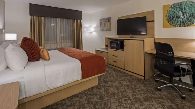 غرفة قياسية بسرير كينج بإطلالة على الجبل مع أريكة، Best Western Vista Inn 4/9