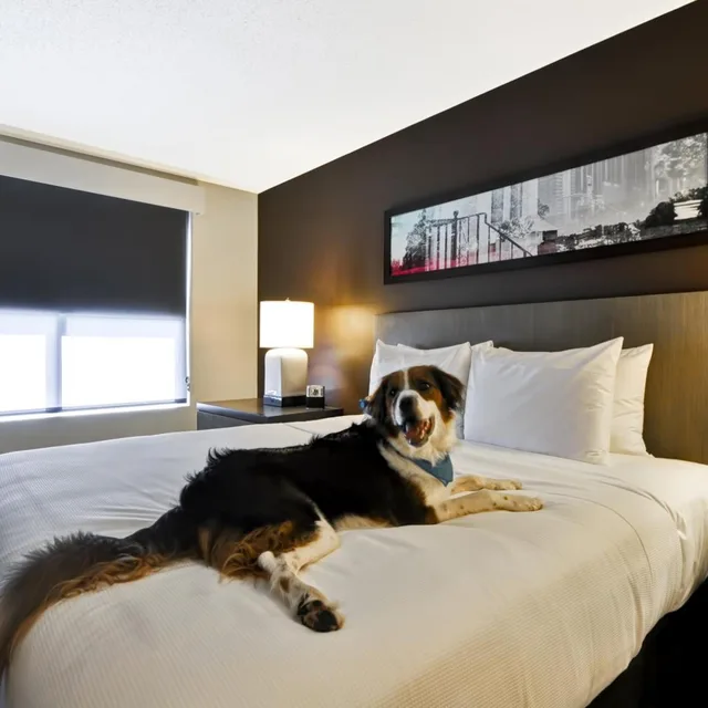 جناح استوديو بسرير كينج لذوي الإعاقة، Hyatt House Atlanta Cobb Galleria 1/3