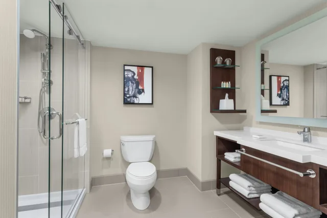 جناح جونيور، Delta Hotels by Marriott Philadelphia Airport 3/3