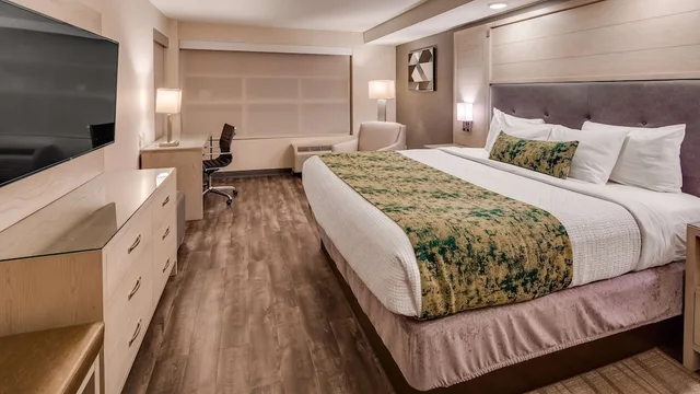 غرفة قياسية بسرير كينج، Best Western Premier I-95 Savannah Airport/ Pooler West 1/4