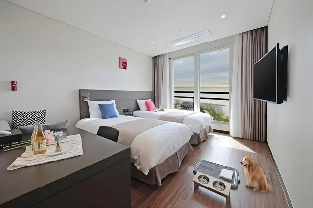 Premier Twin Pet، Air Sky Hotel Incheon 2/2
