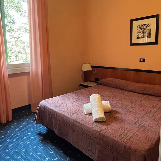 غرفة قياسية بسرير مزدوج، Hotel Milano Pool & Garden 1/2