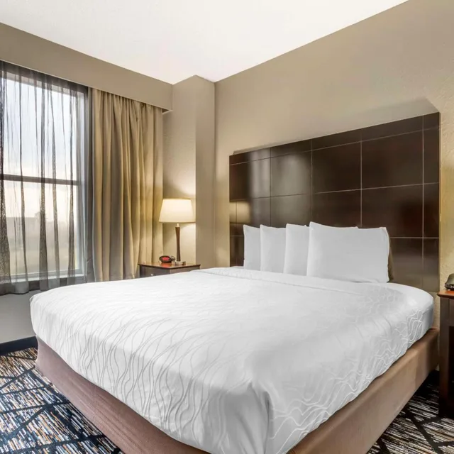 جناح بسرير كينج لذوي الإعاقة، Best Western Plus Hobby Airport Inn and Suites 1/5