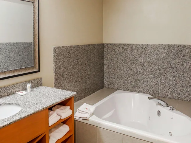 جناح، Comfort Suites At Virginia Center Commons 5/6