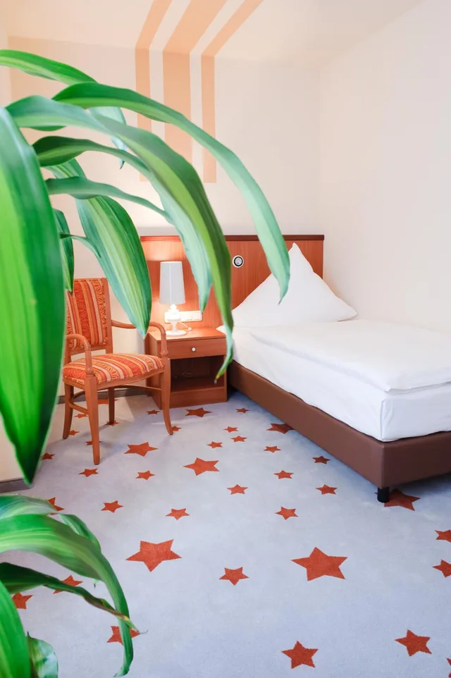 غرفة مفردة، Stadthotel Stern 1/6