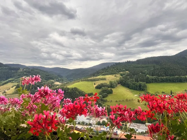Hotel Schauinsland، أوبركيرش 36/40
