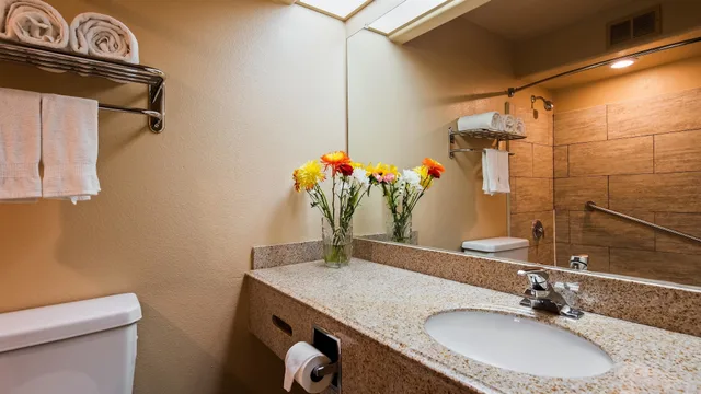 غرفة قياسية كبيرة بسرير كينج مع أريكة، Best Western Escondido Hotel 3/5