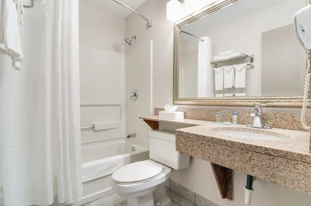 غرفة قياسية بسرير كينج، American Inn & Suites Metro Airport 4/4