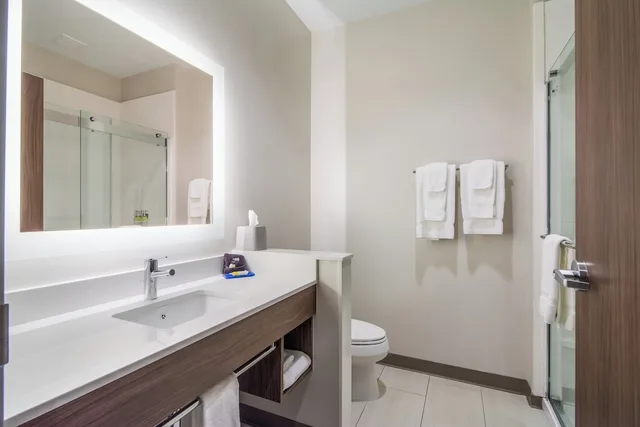 Standard, King Bed, Bathtub, Accessible, Holiday Inn Express and Suites Asheboro 3/4