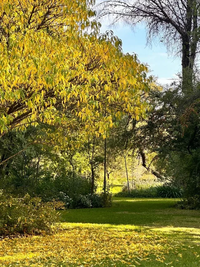 Haldon Estates، بلومفونتين 52/69