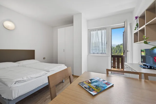 1 Bedroom, Panoramic, Apartment, Valley View, Balcony، Residence Lagorai 1/8