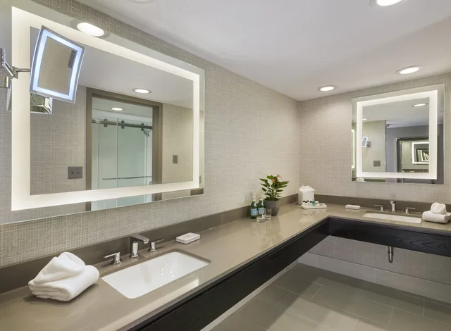 غرفة قياسية بسرير كينج لذوي الإعاقة، Crowne Plaza Hotel Providence Warwick 6/6