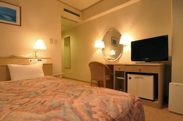 غرفة مفردة، Takarazuka Washington Hotel 2/4