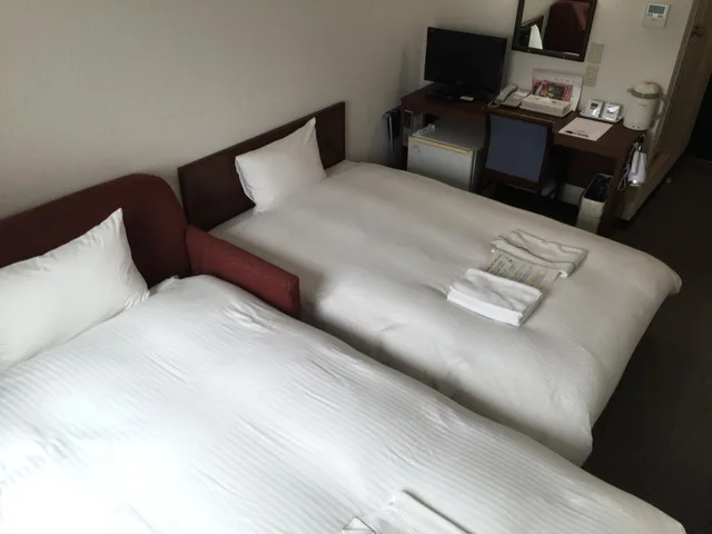 غرفة قياسية للمدخنين، Hotel Green City 2/2