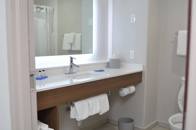 غرفة قياسية بسرير فردي، Holiday Inn Express Hotel & Suites Seguin 3/3