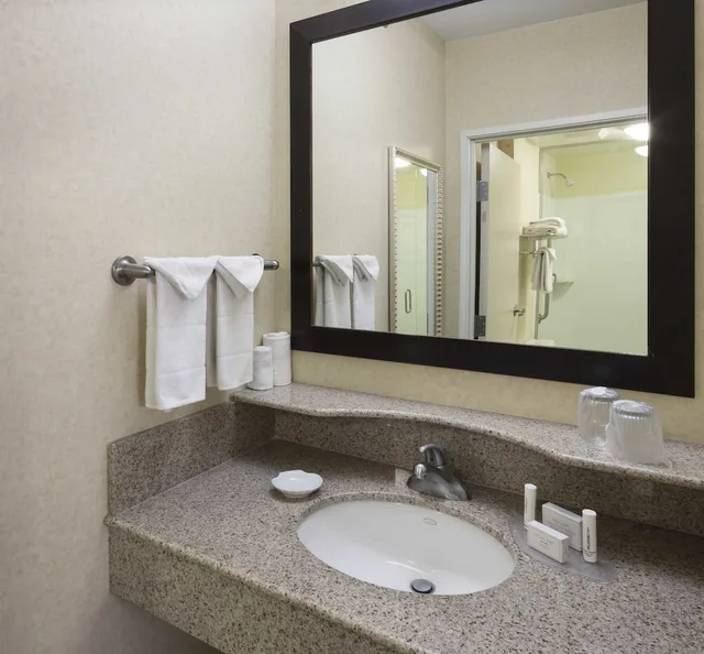 جناح بسرير كينج مع أريكة، Springhill Suites By Marriott Indianapolis Fishers 3/4