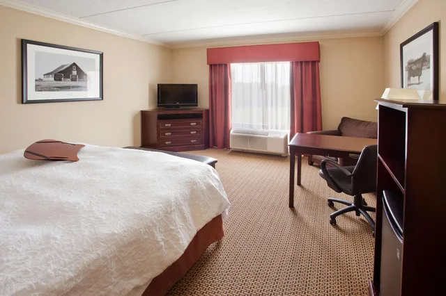 جناح بسرير كينج بشرفة، Hampton Inn And Suites Lanett West Point 1/8