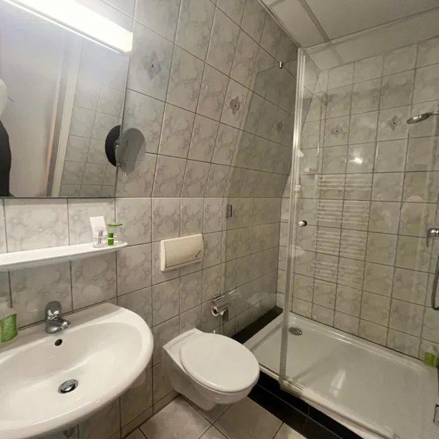 غرفة ديلوكس مفردة، Holiday Inn Leipzig Gunthersdorf 3/3