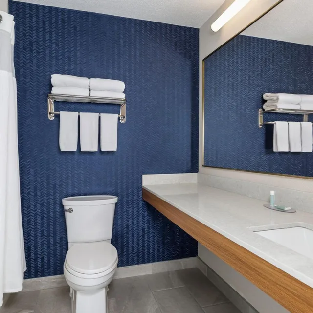 غرفة بسرير كينج بحوض استحمام لذوي الإعاقة، Fairfield Inn Suites By Marriott Minneapolis Burnsville 8/8